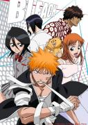 انمي Bleach مترجم