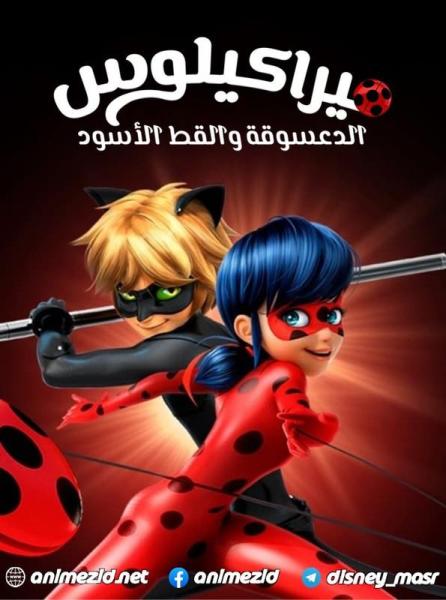 الدعسوقة و القط الأسود