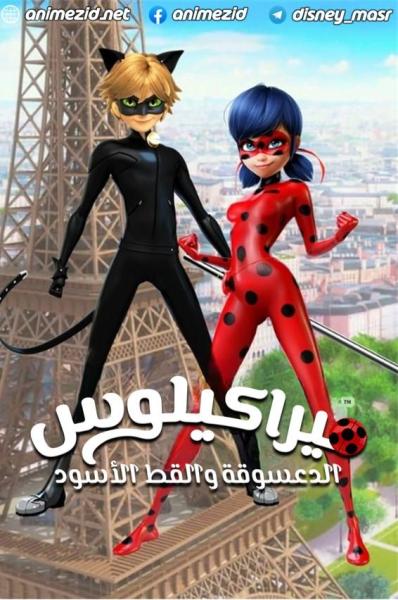الدعسوقة و القط الأسود الموسم الثاني
